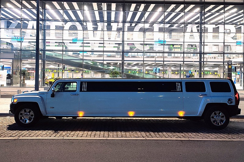 Pretty Hummer – zdjęcie 3
